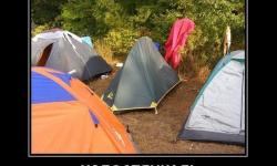 Холостяцкая